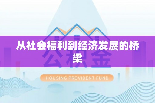 巴塘从社会福利到经济发展的桥梁
