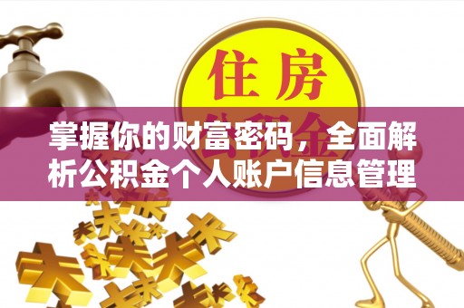 巴塘掌握你的财富密码，全面解析公积金个人账户信息管理与优化