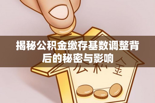巴塘揭秘公积金缴存基数调整背后的秘密与影响