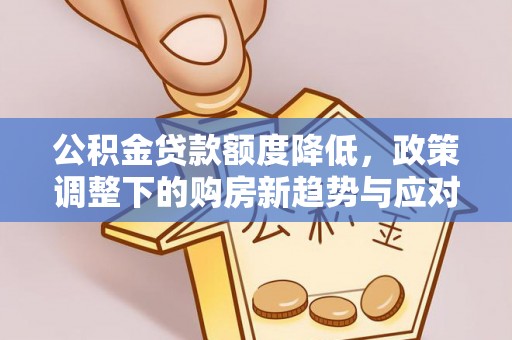 巴塘公积金贷款额度降低，政策调整下的购房新趋势与应对策略