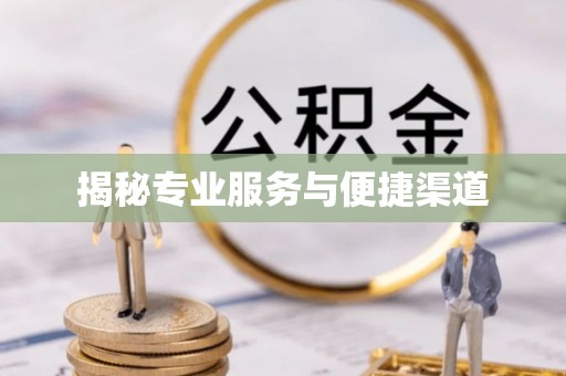 巴塘揭秘专业服务与便捷渠道