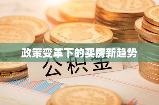 巴塘政策变革下的买房新趋势