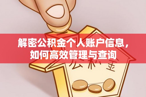 巴塘解密公积金个人账户信息，如何高效管理与查询