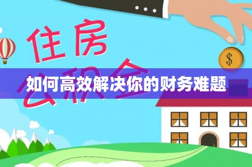 巴塘如何高效解决你的财务难题