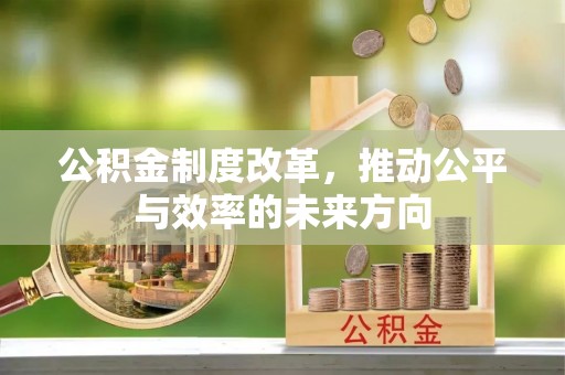 巴塘公积金制度改革，推动公平与效率的未来方向