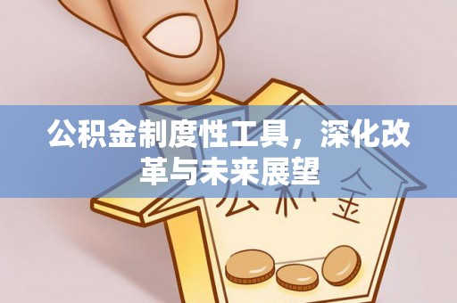 巴塘公积金制度性工具，深化改革与未来展望